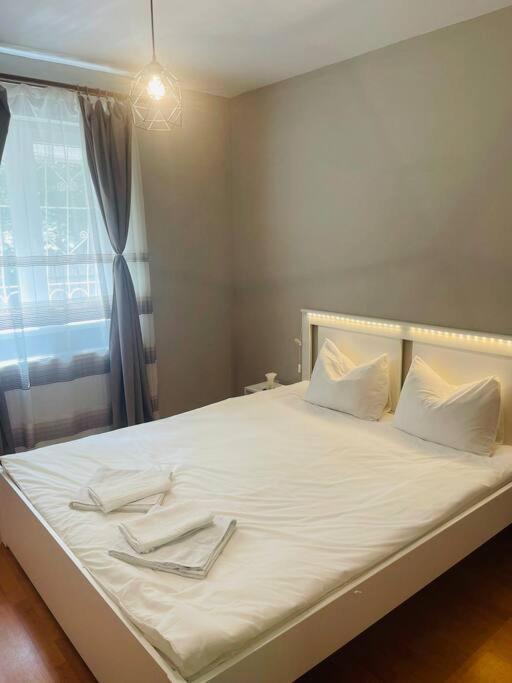 Chic Retreat Timisoara Apartment Екстериор снимка